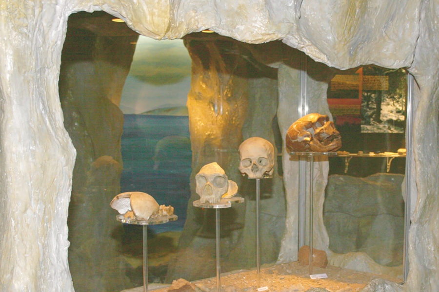 gibraltar-museum-gibraltar-info